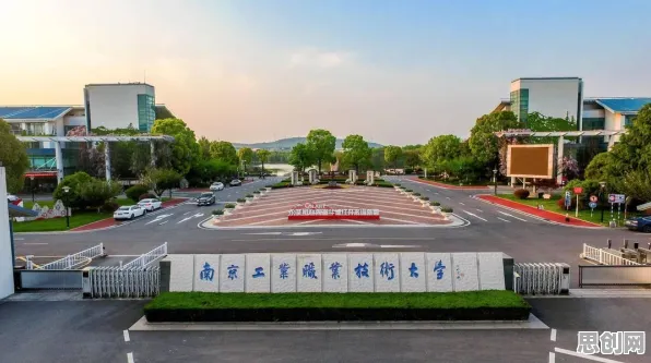 深陷工业低代码平台的都市人,系统论研究指出了出路 深陷工业低代码平台的都市人,系统论研究指出了出路