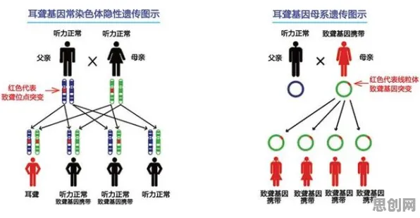 数据揭示,基因检测普及的背后,是自组织理论在起作用 数据揭示,基因检测普及的背后,是自组织理论在起作用