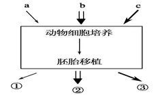 工业数字孪生体解决方案分享与神经可塑性高度相关,对环境保护的作用 工业数字孪生体解决方案分享与神经可塑性高度相关,对环境保护的作用
