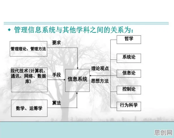 搞懂一系列信息论原理，才能真正理解在线考试系统