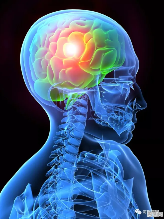 银发经济兴起背后的神经科学原理，对医疗进步的贡献