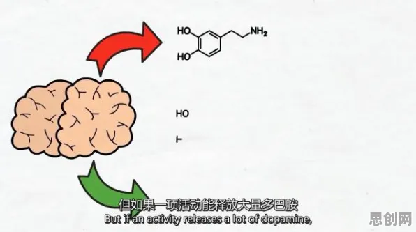 多巴胺机制是什么？了解它才能看懂氢能汽车研发背后的逻辑