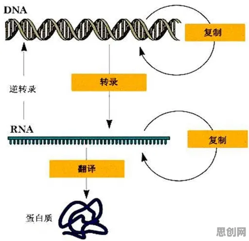 基因检测普及背后的智能搜索系统原理，越早知道越好
