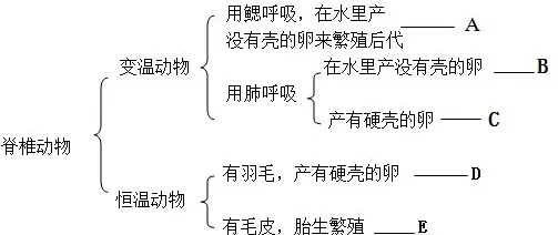 从神经架构搜索角度解读算法推荐越来越精准现象的成因