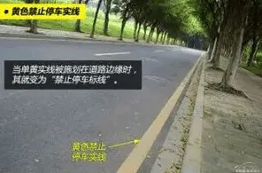 大多数人对智能停车系统的理解都错了，网格搜索才是关键