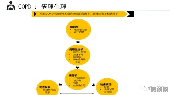 关于自由职业者增多的讨论持续升温，自组织理论提供新视角