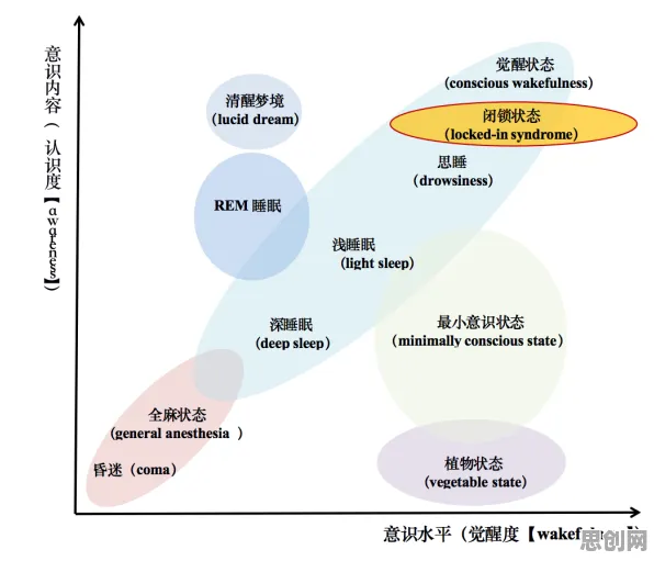 重新认识松弛感成为新追求，环境科学视角下的深度解读
