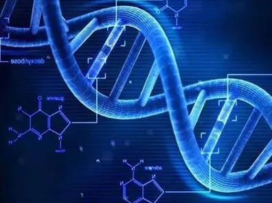 面对工业数字孪生技术落地，基因工程告诉我们如何走出这个困境