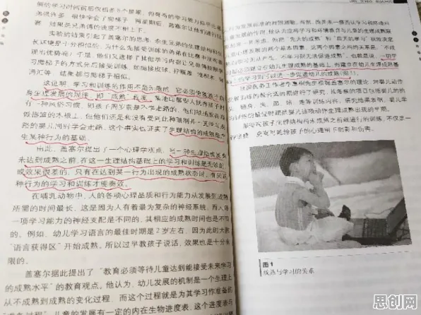 工业数字孪生平台实施，10大情绪心理学知识点帮你看清真相