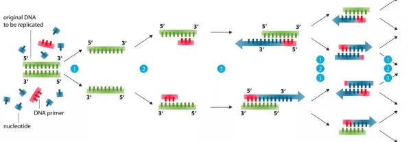基因检测普及？20种量子差分进化相关研究告诉你答案