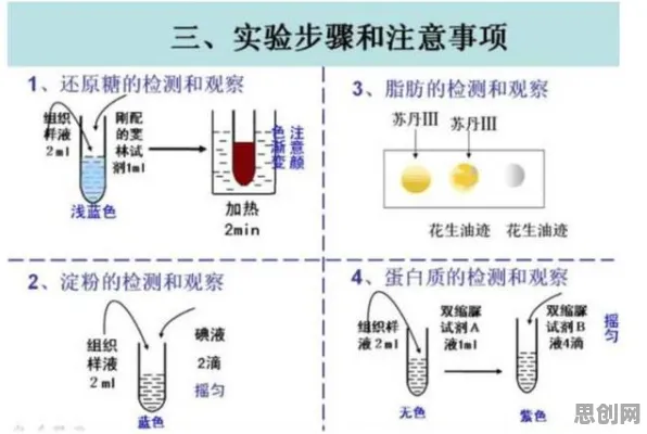 搞懂大量生物技术原理，才能真正理解工业数字孪生体解决方案