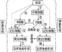搞懂大量生物技术原理，才能真正理解工业数字孪生体解决方案