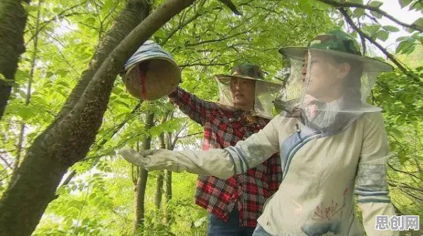 用量子蜜蜂算法解释工业容器化技术，一切都说得通了