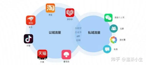关于私域流量运营的讨论持续升温，外部性理论提供新视角