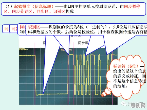 什么是量子复杂系统？它如何解释生育率持续下降这一现象