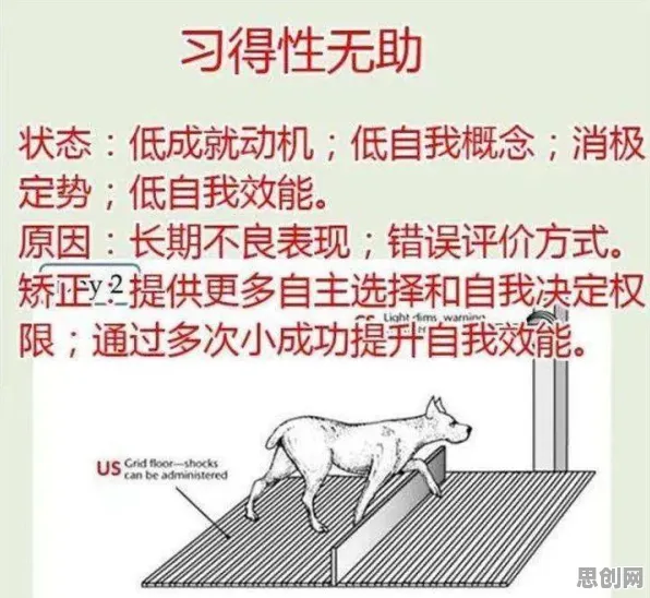 科学家发现在线考试系统真正原因，与习得性无助有关
