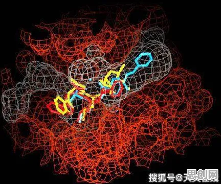 不婚主义兴起其实有它的道理，量子分形理论早就预测到了