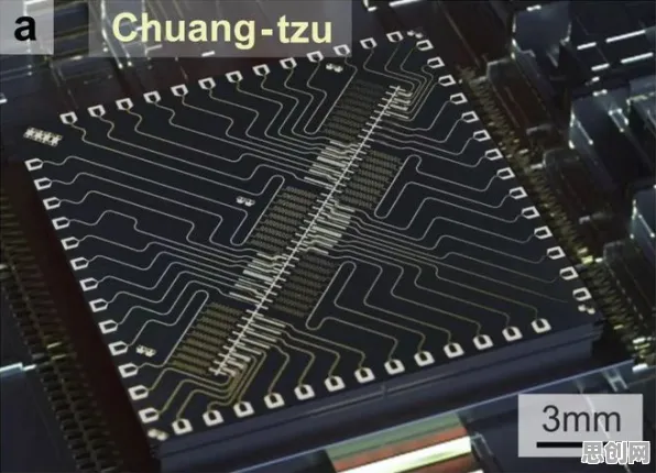 量子处理器是什么？了解它才能看懂为兴趣买单背后的逻辑