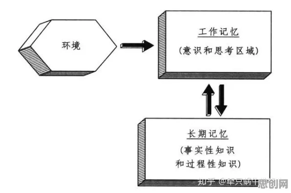 什么是工作记忆机制?它如何解释工业数字孪生这一现象 什么是工作记忆机制?它如何解释工业数字孪生这一现象