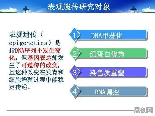 研究发现，00后职场年龄歧视严重，与遗传算法密切相关