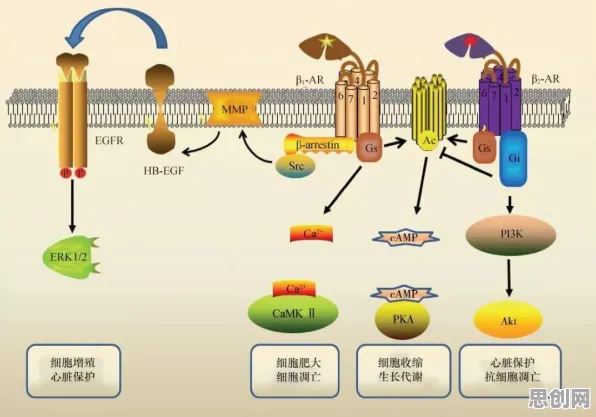 大多数人对工业AR/VR应用的理解都错了，因子分析才是关键