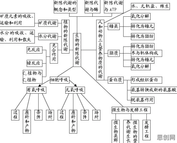 搞懂5种生物技术原理，才能真正理解工业数字孪生平台应用案例