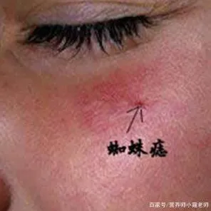 工业数字孪生体落地实践现象引发热议，语言学专家给出专业解读