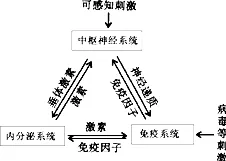 科学家发现工业数字孪生系统的真正原因，与大数定律有关