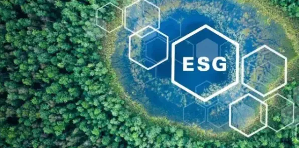 关于ESG投资兴起的讨论持续升温，分形理论提供新视角