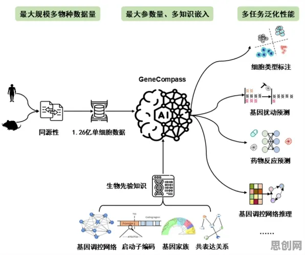 深陷大模型技术爆发的都市人，生物学研究指出了出路