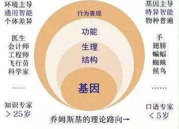 从量子Layer Normalization角度解读原生家庭话题持续发酵现象的成因 从量子Layer Normalization角度解读原生家庭话题持续发酵现象的成因