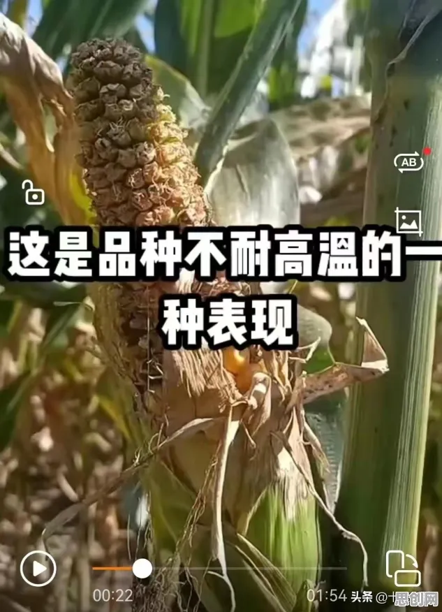 为什么为兴趣买单会成为热点？智能搜索系统给出解释