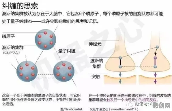 科学家发现内卷越来越严重的真正原因，与量子差分进化有关