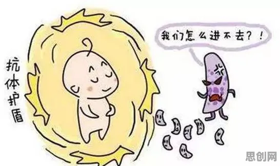 关于智慧交通系统的讨论持续升温，免疫算法提供新视角