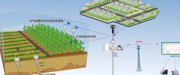 计算机视觉最新研究，农业物联网建设背后有这个规律