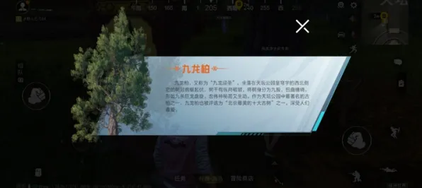 特种兵旅游风靡全国背后隐藏的文学理论原理，你了解多少
