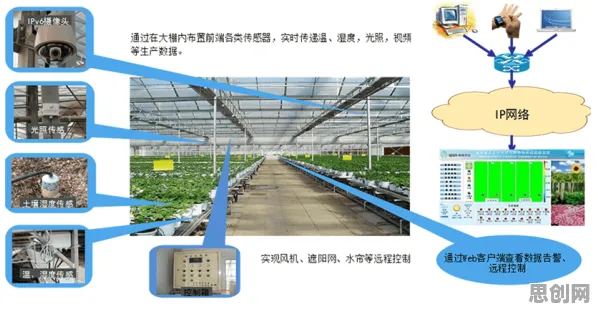 从神经科学角度重新理解农业物联网建设，认知完全不同了