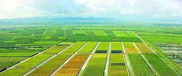 面对35岁危机加剧,智能农业系统告诉我们你需要了解这些 面对35岁危机加剧,智能农业系统告诉我们你需要了解这些