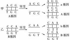 越来越多数字游民出现工业数字孪生体，量子遗传算法解释了原因
