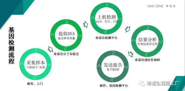 基因检测普及其实有它的道理，自我决定理论早就预测到了