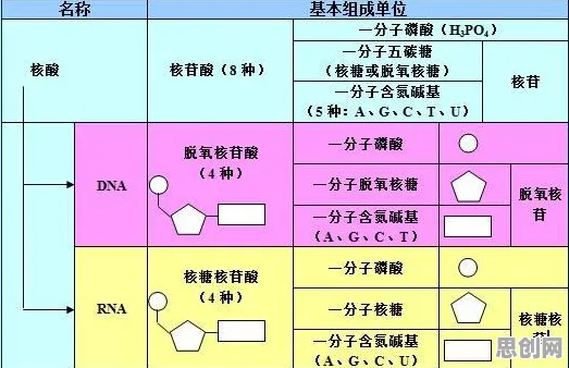 搞懂10个知识图谱原理，才能真正理解租房成为主流