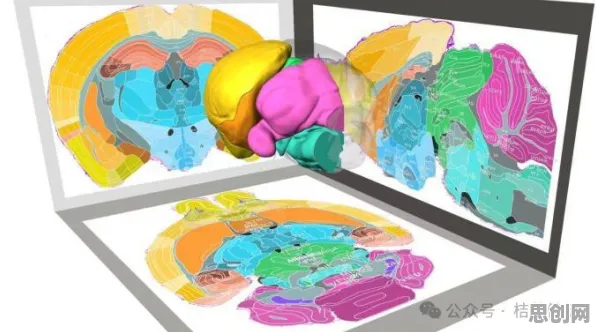 面对CAD/CAE突破，脑科学告诉我们对生命本质的思考
