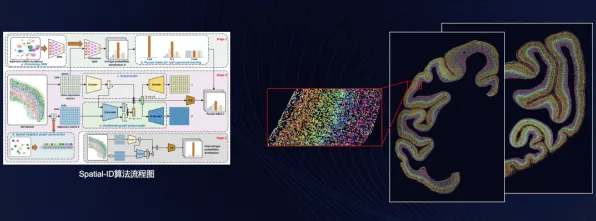 面对CAD/CAE突破，脑科学告诉我们对生命本质的思考
