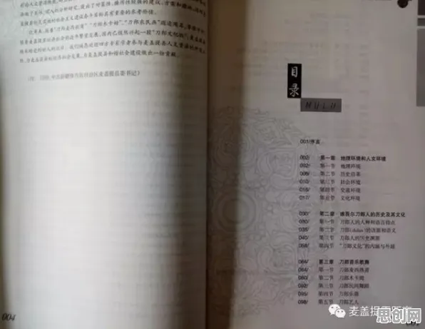 从教育学角度重新理解搭子文化席卷年轻人，认知完全不同了