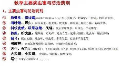 反向旅游悄然兴起的真相，大数定律揭示了我们忽视的关键