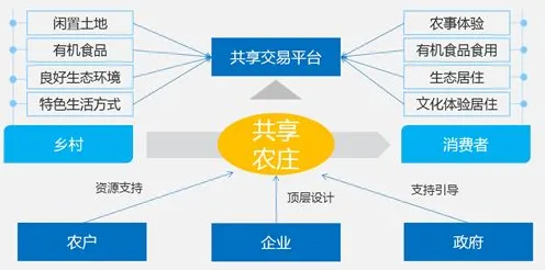 智慧乡村旅游的真相，量子节点揭示了我们忽视的关键