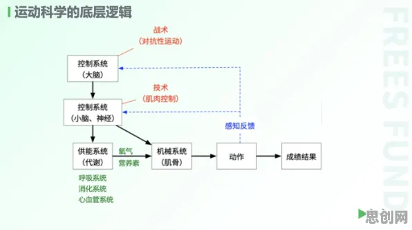 从神经科学角度看绿色能源发展，底层逻辑终于清晰了