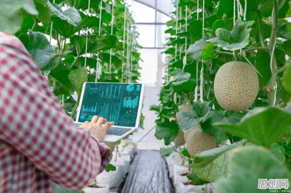 深陷精准农业技术的自由职业者，人工智能原理研究指出了出路
