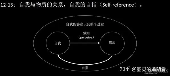 什么是自适应系统？它如何解释边界感成为热词这一现象
