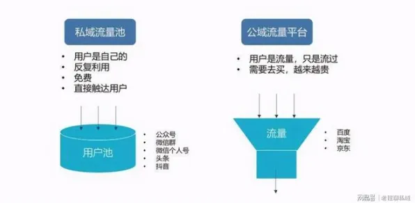 什么是量子Adam优化器？它如何解释私域流量运营这一现象